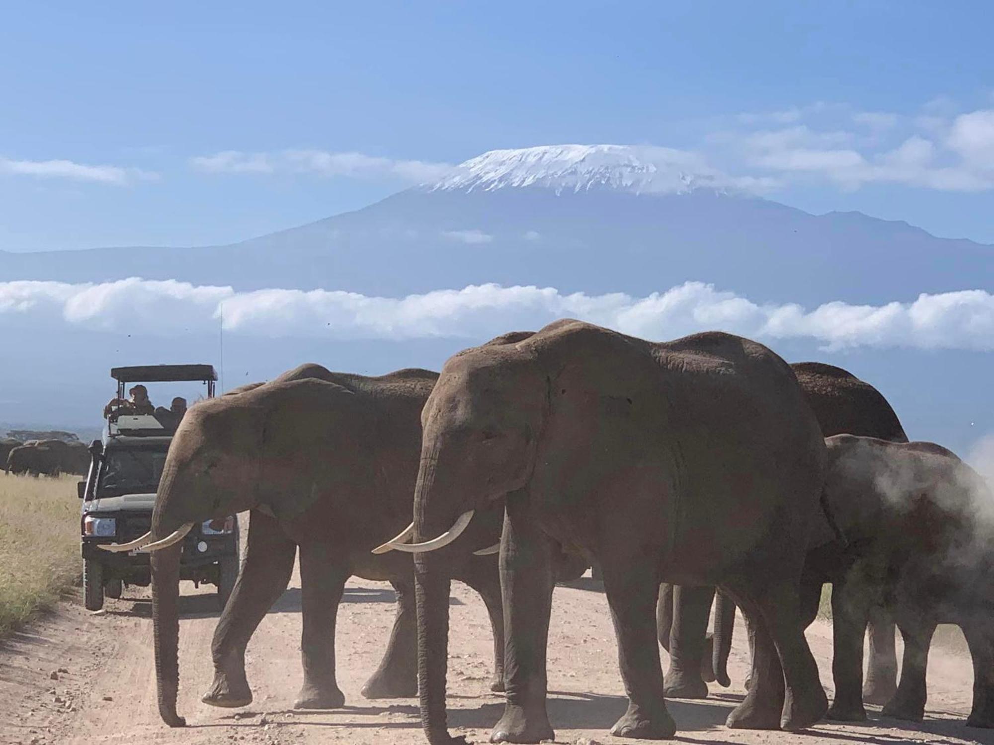 Amboseli Discovery Camp Dış mekan fotoğraf