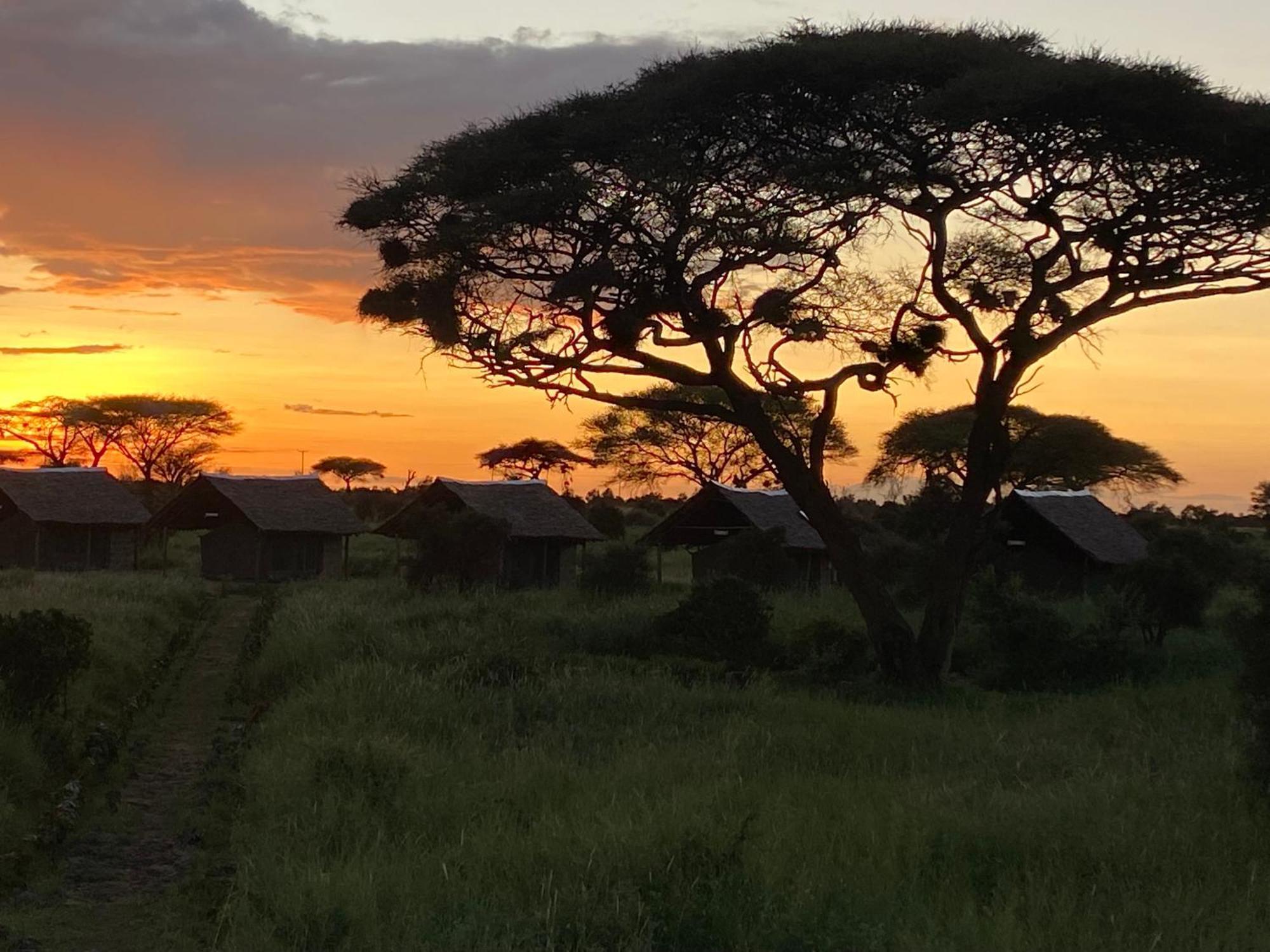 Amboseli Discovery Camp Dış mekan fotoğraf