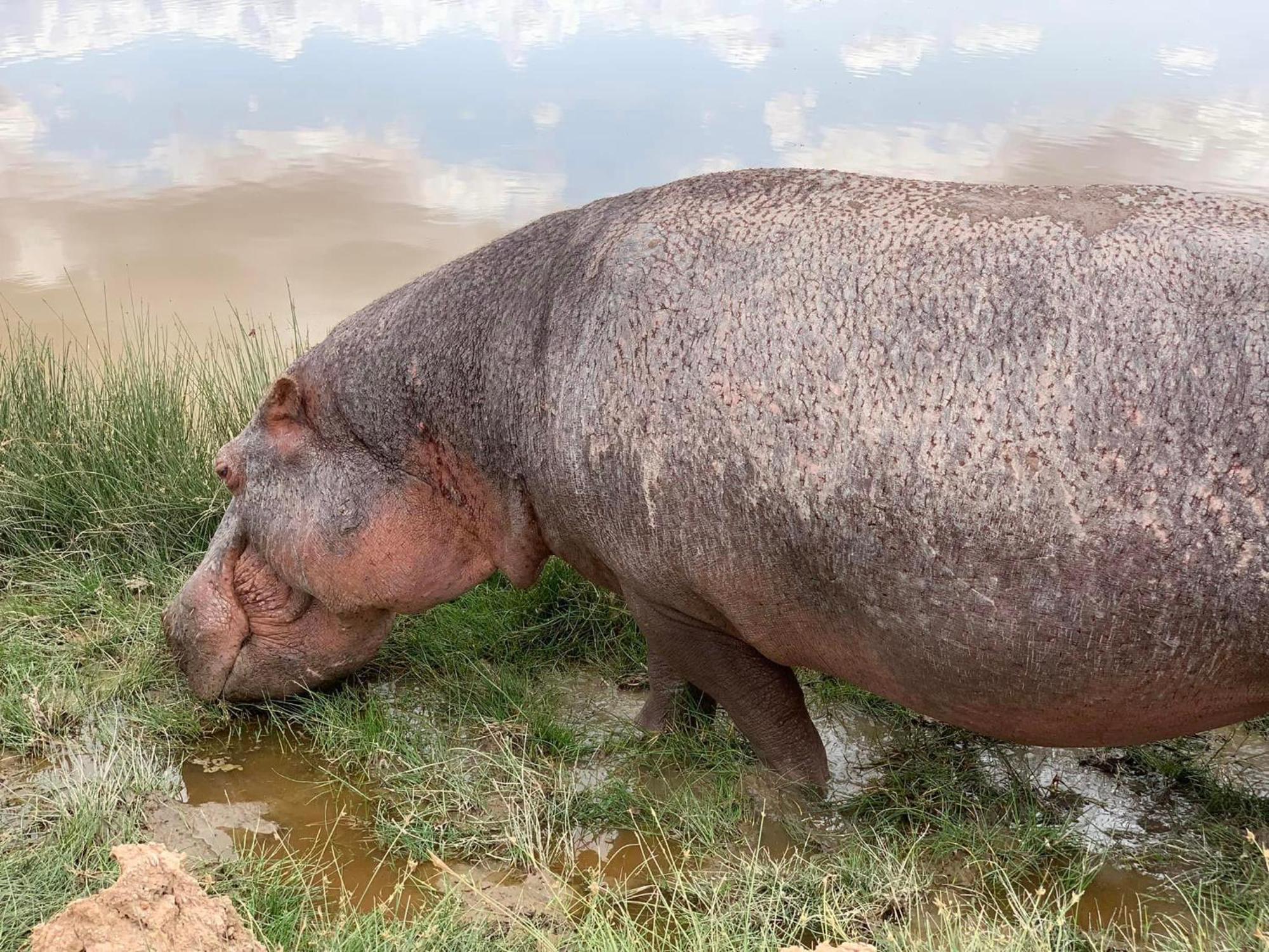 Amboseli Discovery Camp Dış mekan fotoğraf