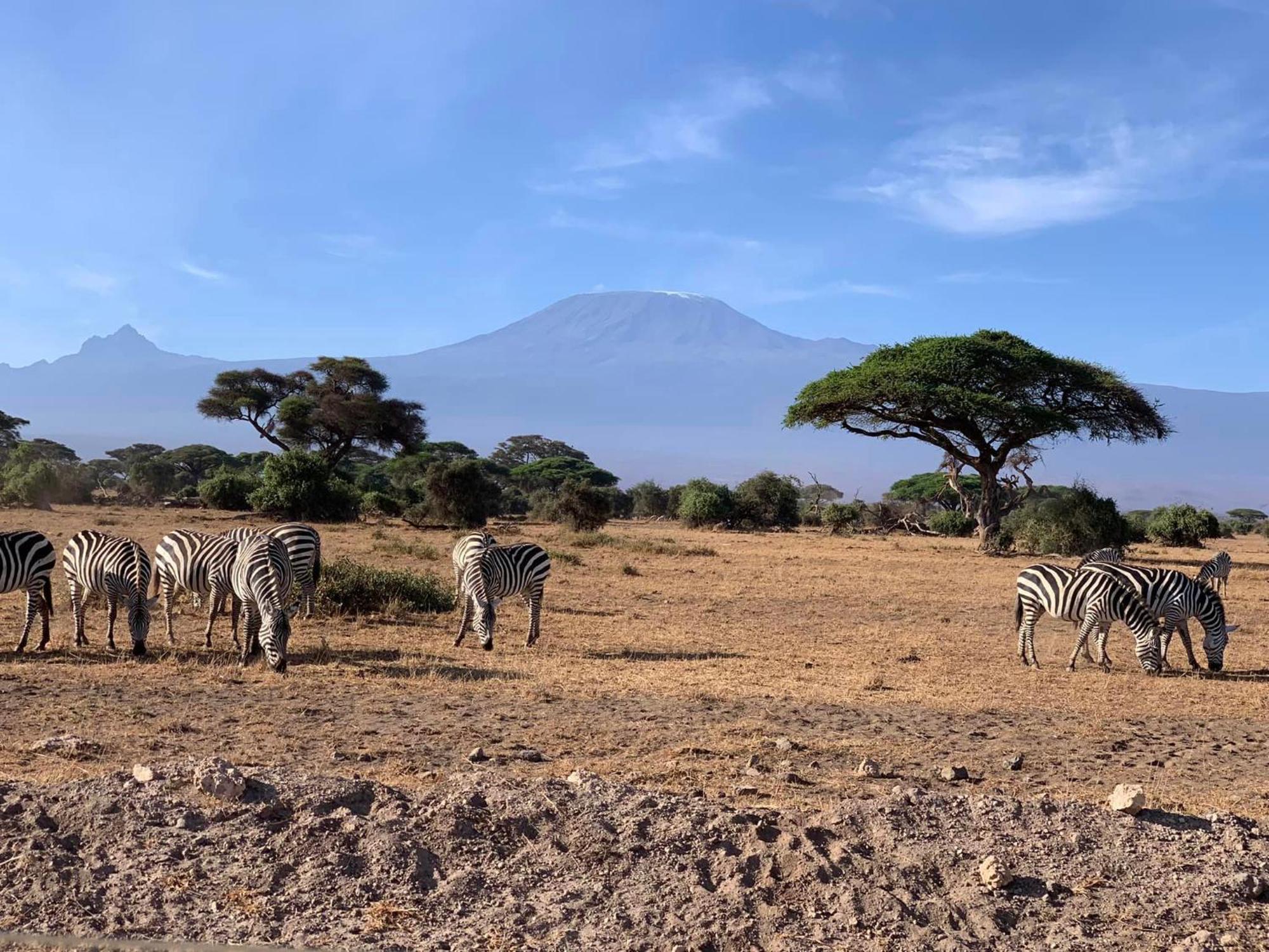 Amboseli Discovery Camp Dış mekan fotoğraf