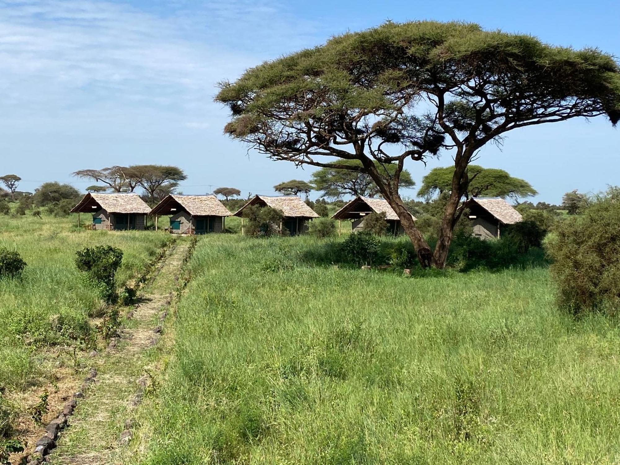 Amboseli Discovery Camp Dış mekan fotoğraf