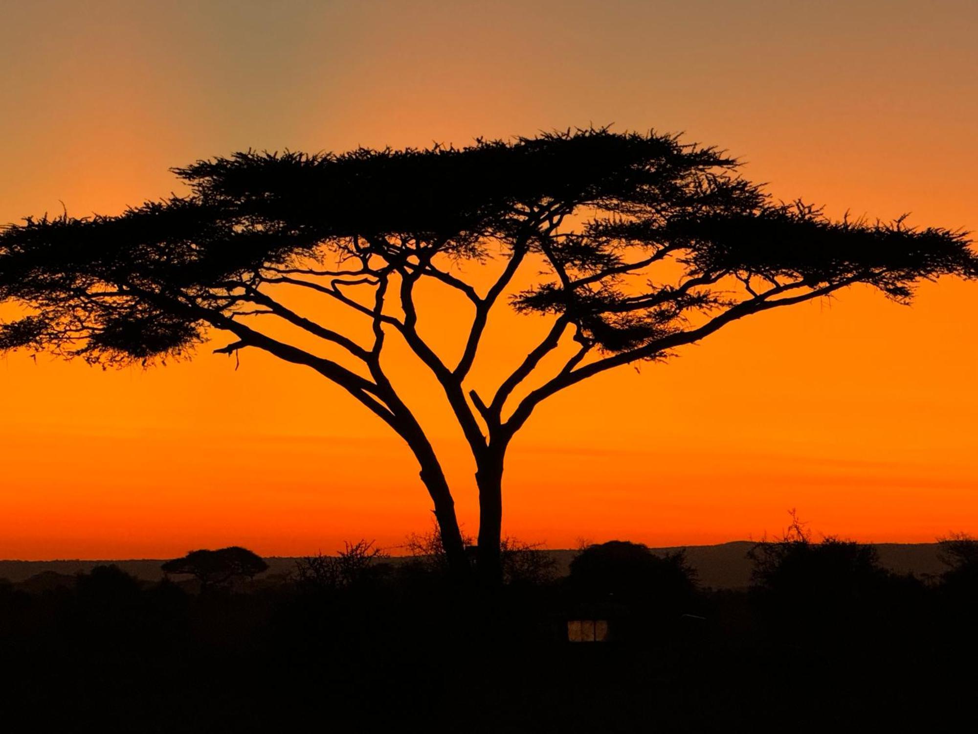 Amboseli Discovery Camp Dış mekan fotoğraf